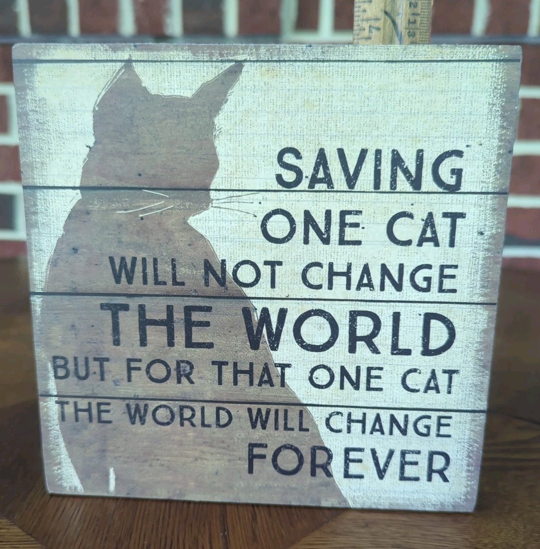 Primitives by Kathy Box Sign – Saving One Cat Will Not Change The World