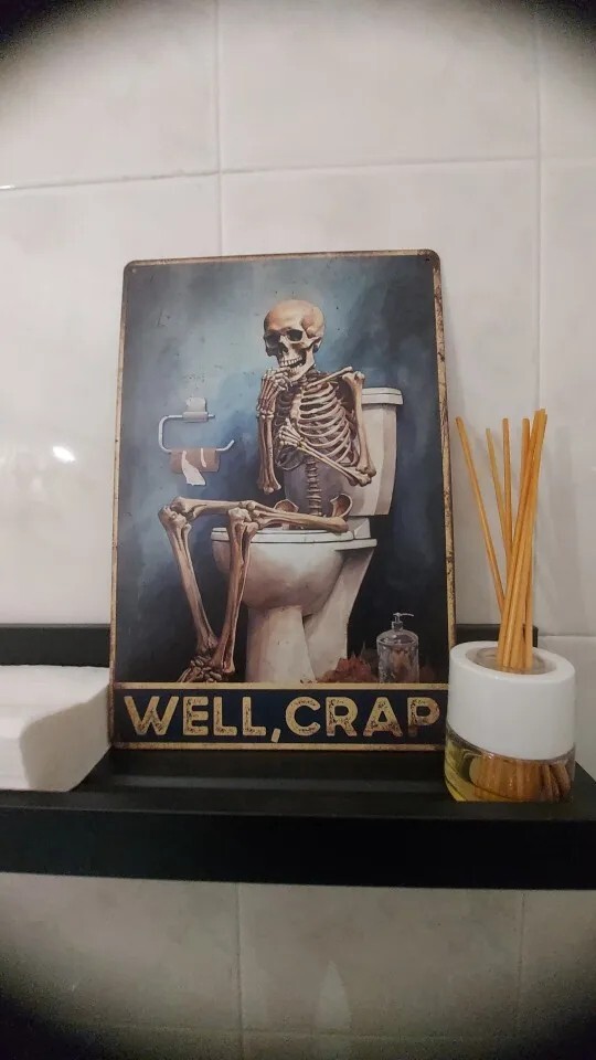 This Is A Bathroom Not An Internet Cafe Sh*t & Split Metal Tin Sign WC Plaque