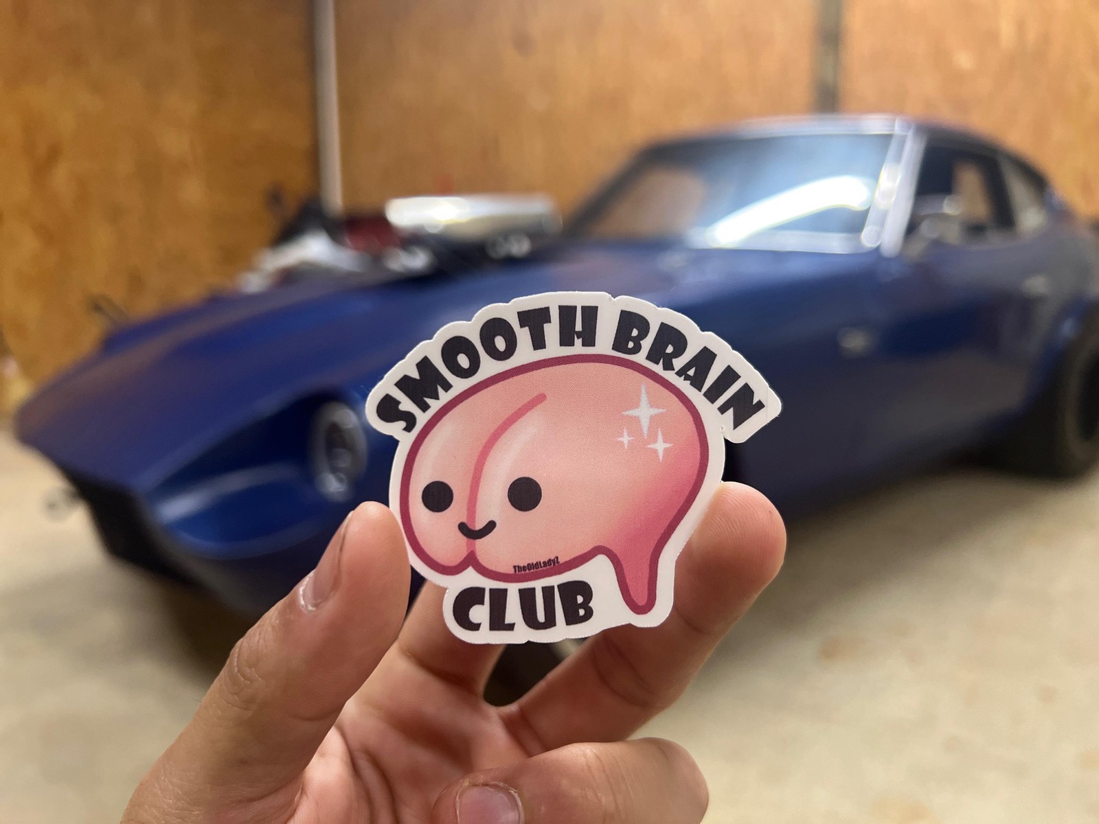 Smooth Brain Club sticker, funny sticker