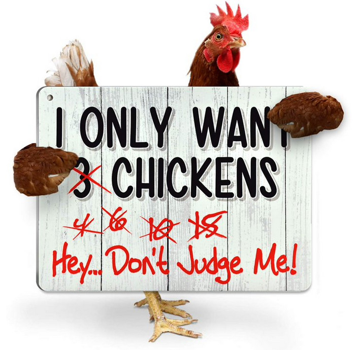 I Only Want 3 Chickens – Don’t Judge Me! 9″ X 12″ Durable Outdoor Sign FREE Ship