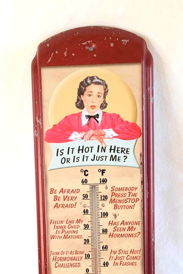 Menopause Hot Flash Thermometer Retro Wall Plaque Metal 17″ Humorous Gift Decor